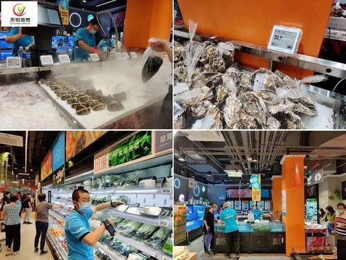 团批新通路下社区团购供应链的盈利分析 以厨具卫具及日用杂品零售为例